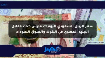 سعر الريال السعودي اليوم 29 مارس 2025 مقابل الجنيه المصري في البنوك والسوق السوداء